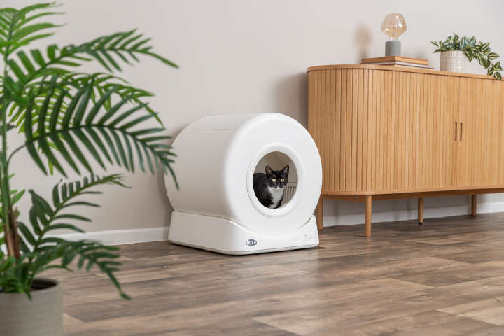 TRIXIE Smarte selbstreinigende Katzentoilette